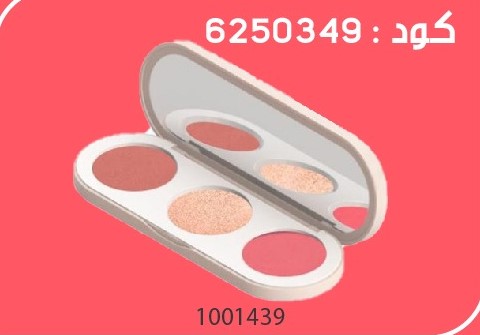 Pack Gratuit Face Palette 3IN1 2426Sept 599dh